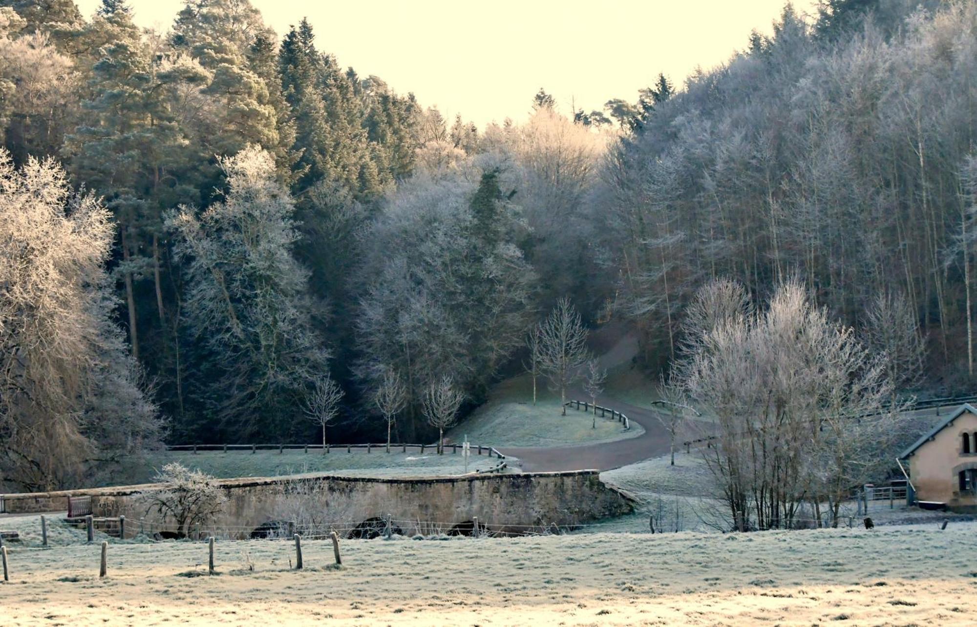 Gite Coeurdacier Monthureux-sur-Saône Exteriör bild